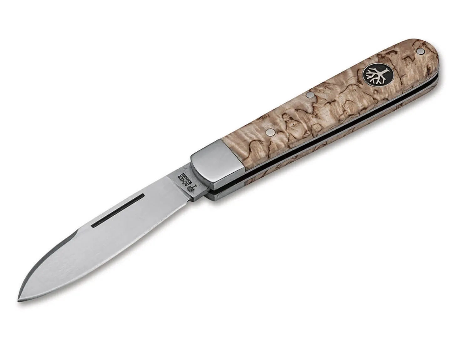 Barlow Prime Maserbirke