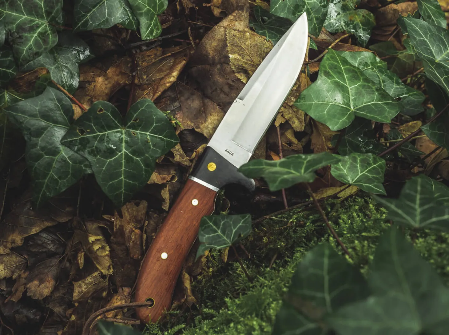 Elk Hunter Special