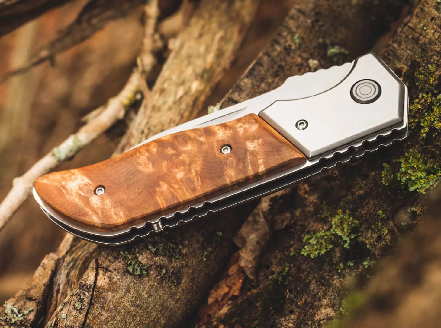 Forest Ranger 42