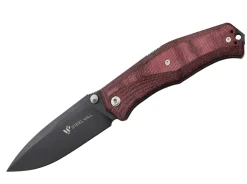 Gekko 1555
