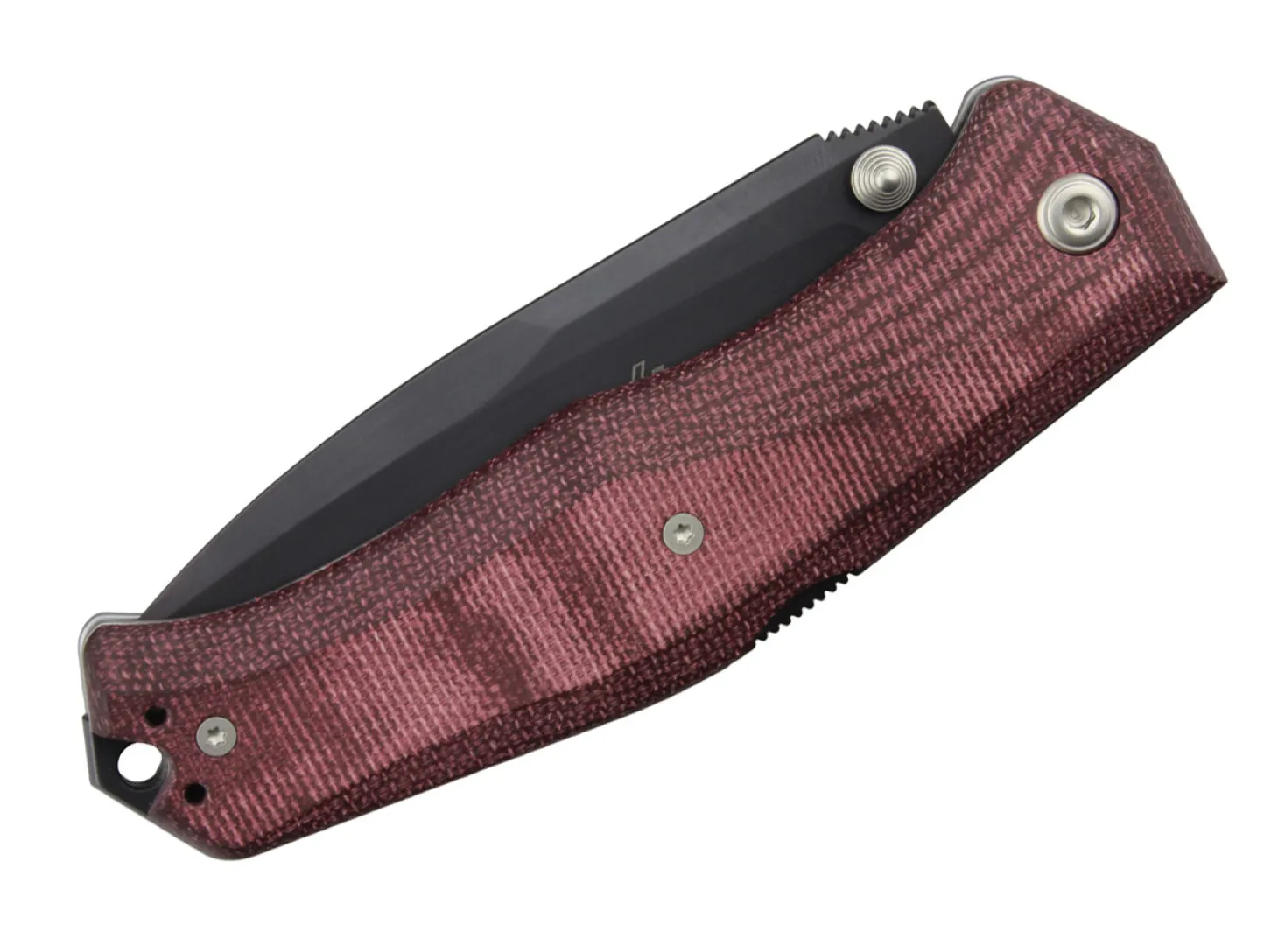 Gekko 1555