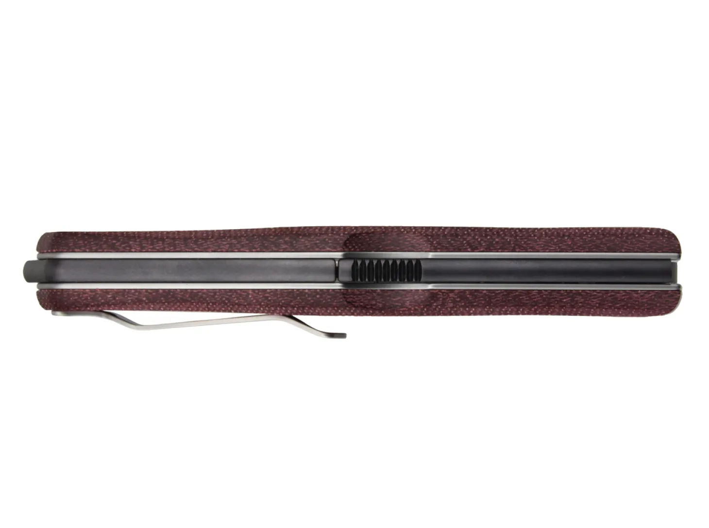 Gekko 1555