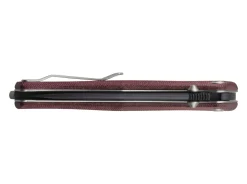 Gekko 1555