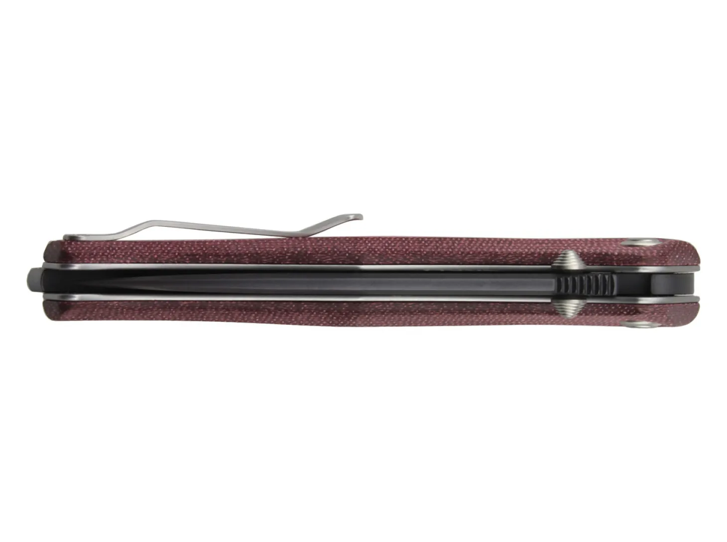Gekko 1555