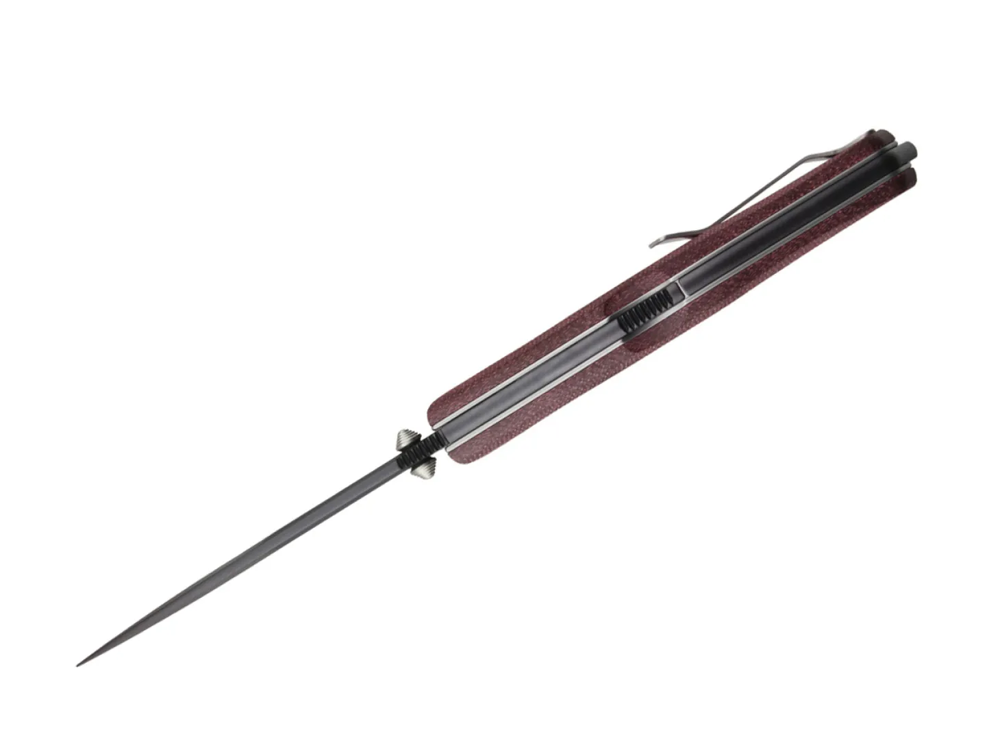 Gekko 1555
