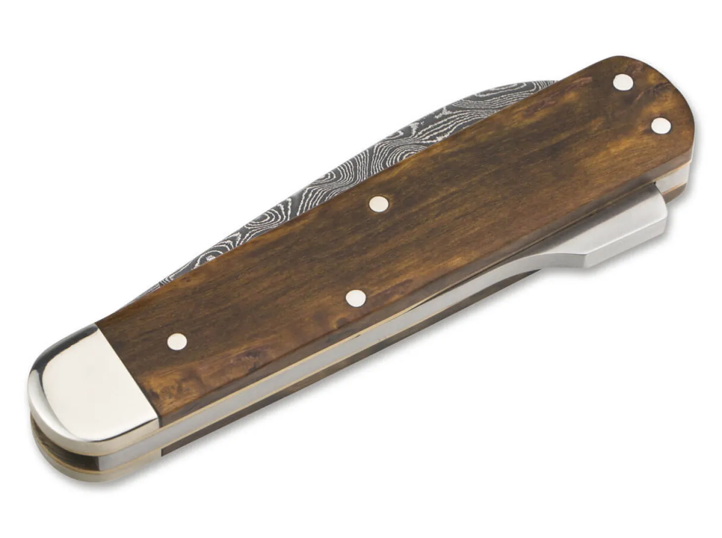 Jagdmesser Mono Damast Maserbirke Braun