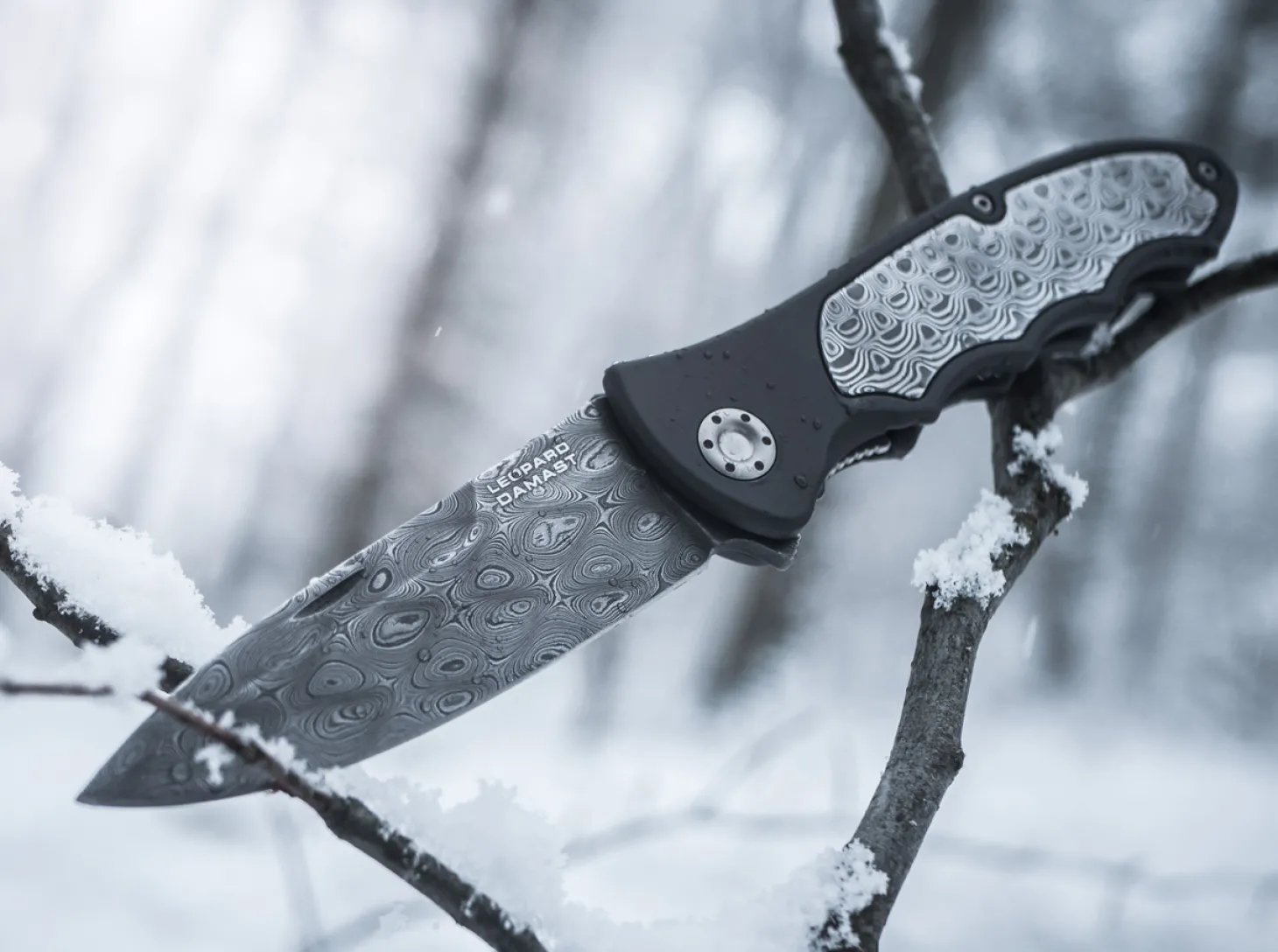 Leopard-Damast III 42 Collection