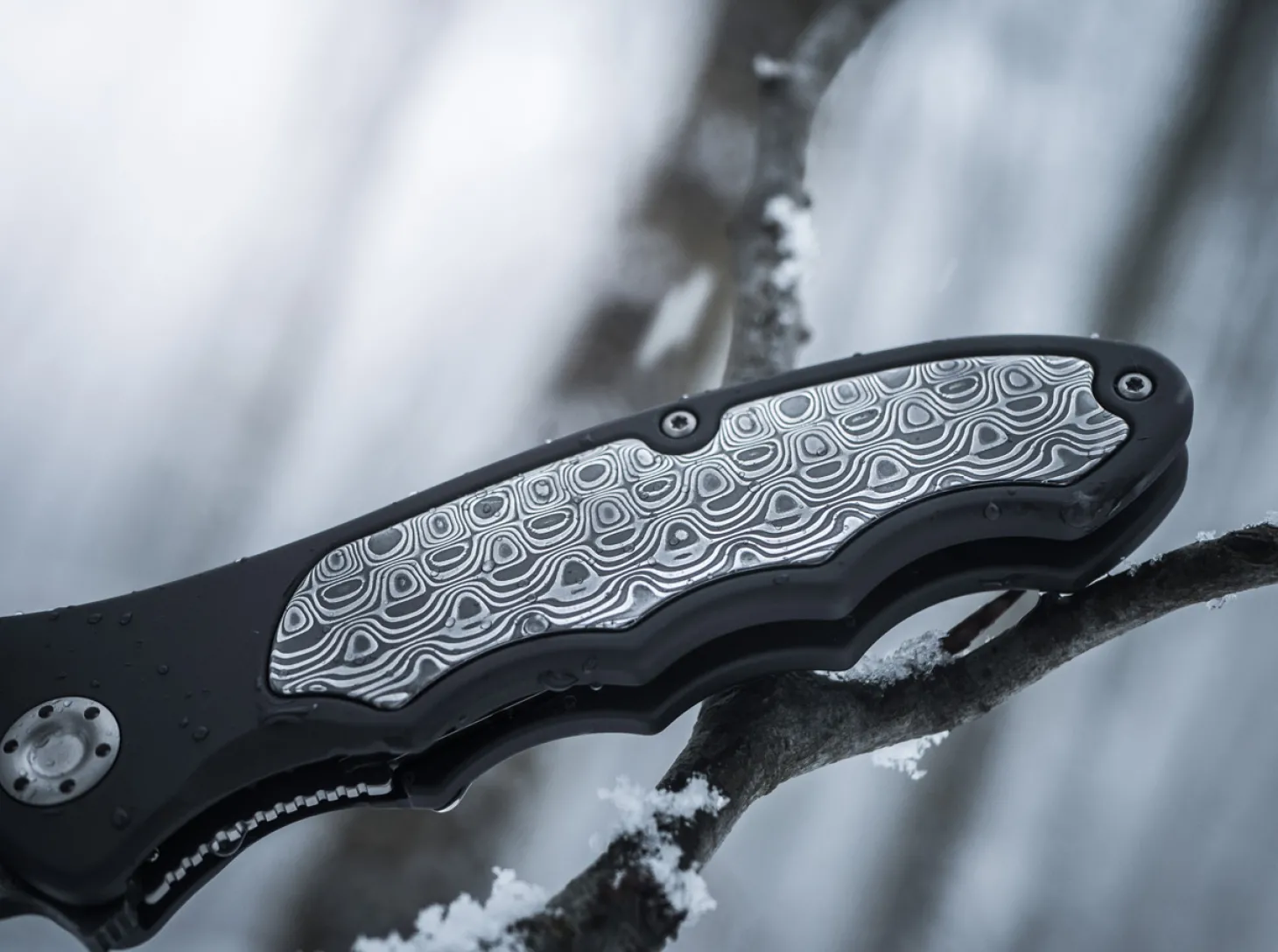 Leopard-Damast III 42 Collection