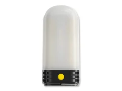 LR60
