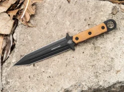 Modern Gladius