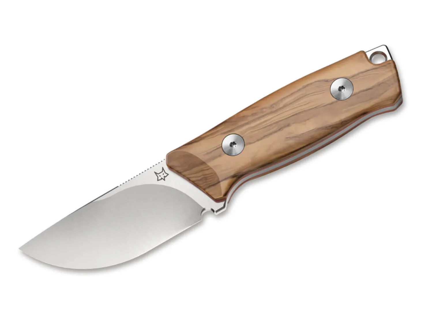 Muzzle Olive Wood