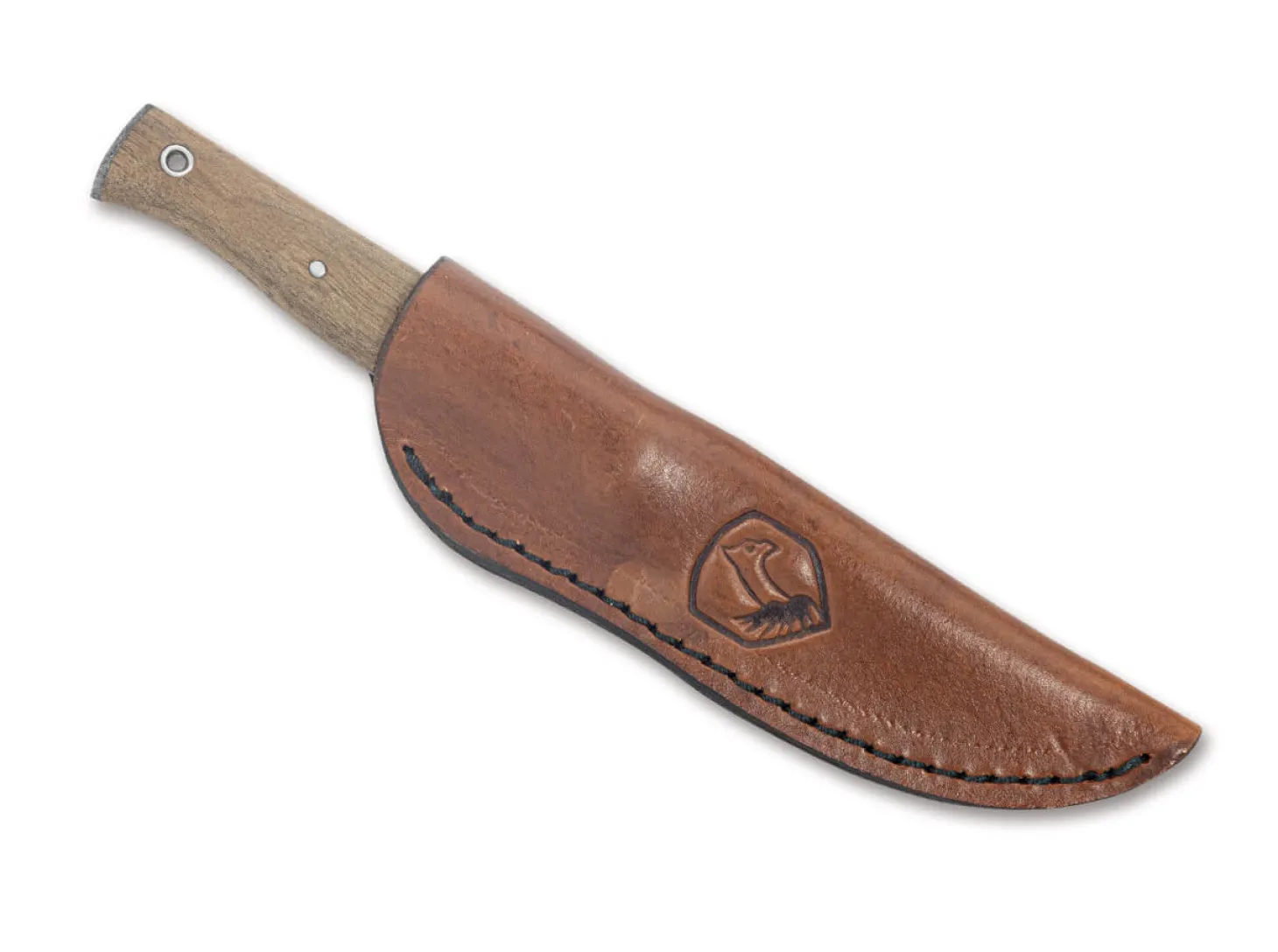 Narrowsaur Knife