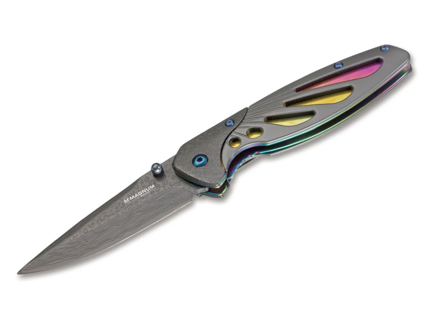 Rainbow Odonata