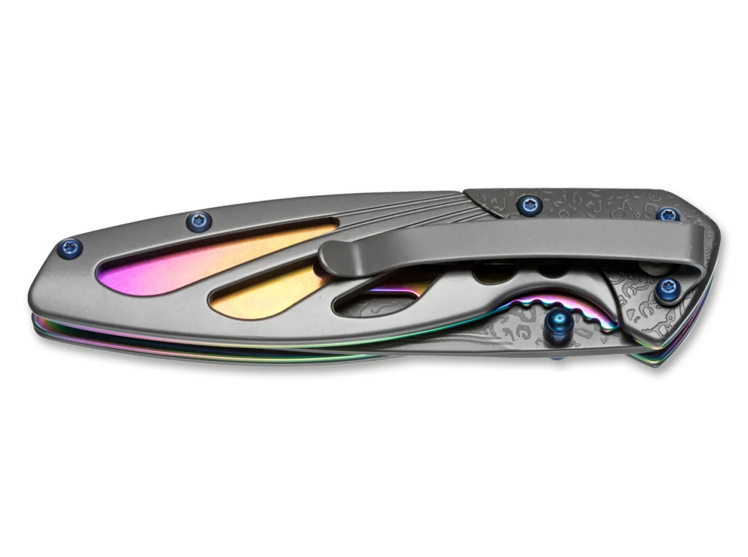 Rainbow Odonata