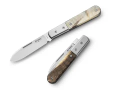 Roundhead Barlow Ram Horn