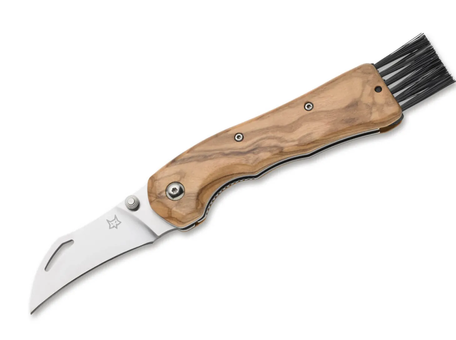 Spora Olive Wood