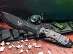 SXB