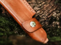 Walnut Drop